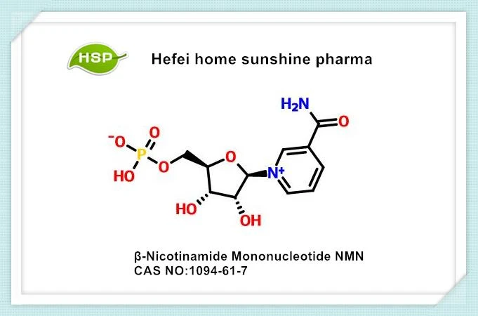 Mononukleotyd Β-nikotynamidu NMN CAS 1094-61-7