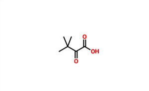 Kwas 3,3-dimetylo-2-oksomasłowy CAS 815-17-8