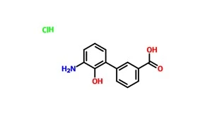 3'-aMino-2'-hydroksy-[1,1'-bifenylo]-3-karboksylowy chlorowodorek kwasu CAS 376591-97-8