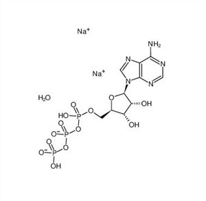Adenozyna 5'-trifosforan Nawadniający sól disodową CAS 34369-07-8