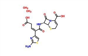 Ceftibuten Dihydrat CAS 118081-34-8