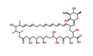 Nystatyna CAS 1400-61-9