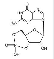 3′,5′-cykliczny-monofosforan guanozyny CAS 7665-99-8